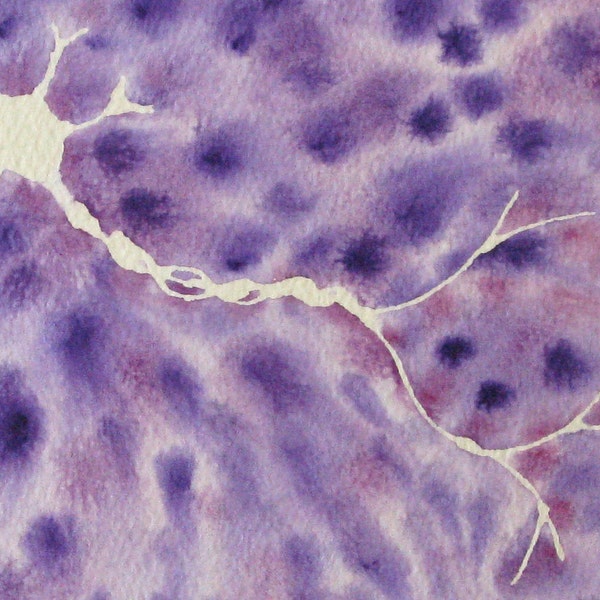 Plum Batik Multipolar Neuron - original watercolor of brain cell