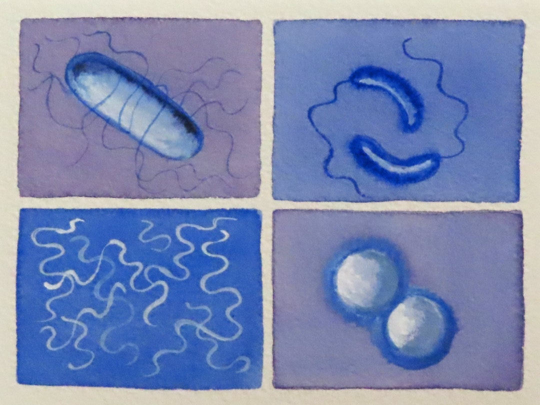 Microbes in Lavender and Blue Original Watercolor Painting of Bacteria ...