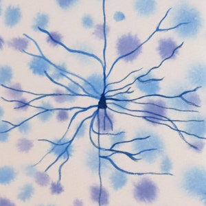 Vintage-style Pyramidal Cell original watercolor painting of neuron neuroscience art image 1