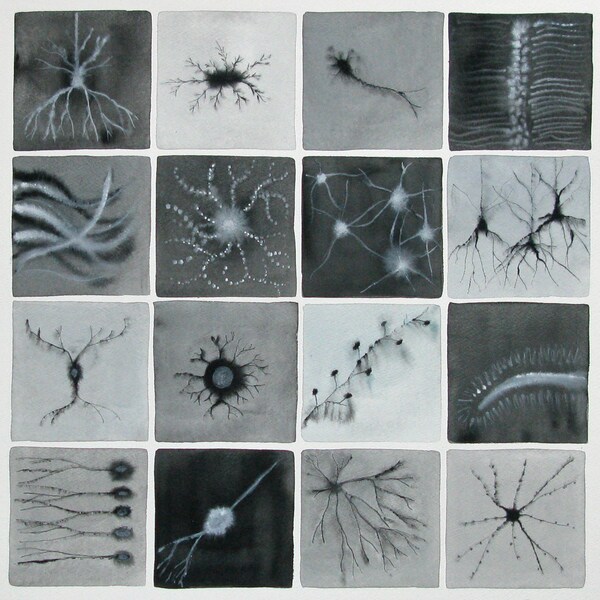 Noir et blanc neurones - aquarelle originale - cellules du cerveau