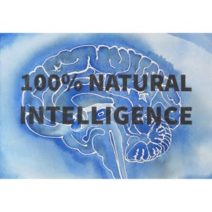 May include: A watercolor painting of a brain with the text "100% NATURAL INTELLIGENCE" superimposed on it. The brain is outlined in white and the background is a light blue.