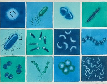 Bacteria in Green and Blue - original watercolor painting of microbes - microbiology art