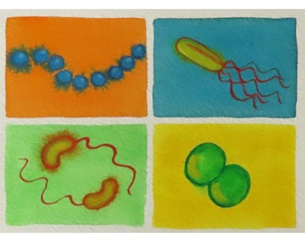 Bacterias coloridas - pintura original de acuarela - arte de microbiología