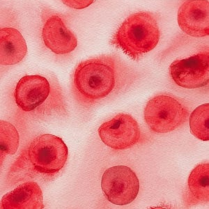 Red Blood Cells 9 - original watercolor painting of erythrocytes