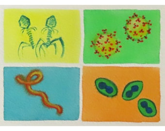 Virus colorés - aquarelle originale - art de la microbiologie