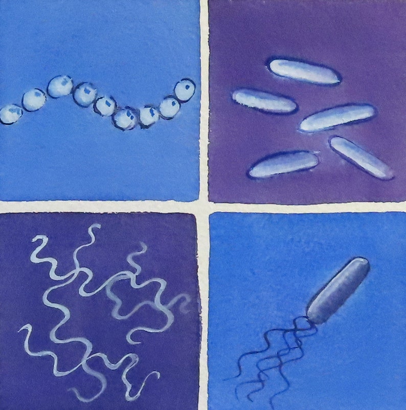 Bacteria in Lavender and Blue original watercolor painting microbiology art image 4