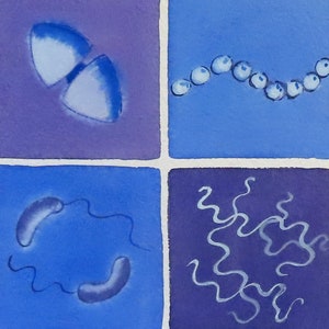 Bacteria in Lavender and Blue original watercolor painting microbiology art image 3