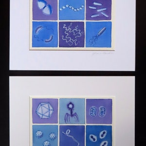 Bacteria in Lavender and Blue original watercolor painting microbiology art image 5