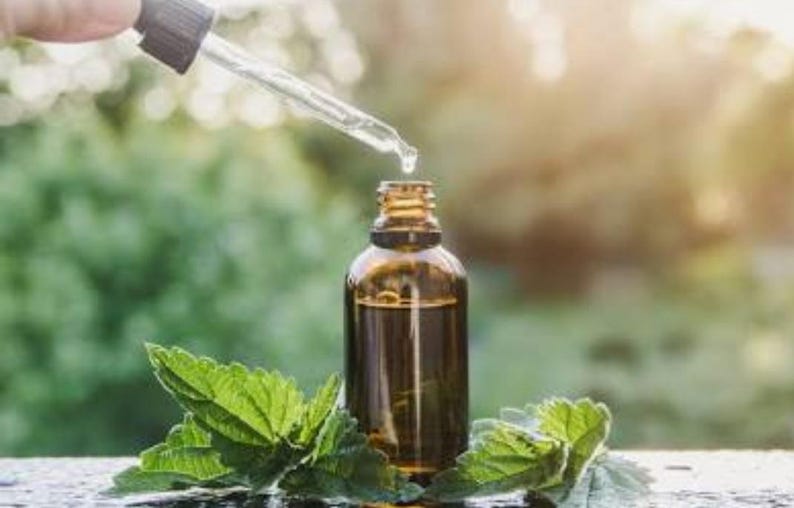 K&ouml;nnte beinhalten: Eine braune Glasflasche mit einer Pipette, die Fl&uuml;ssigkeit abgibt. Die Flasche ist von gr&uuml;nen Bl&auml;ttern umgeben, mit einem verschwommenen gr&uuml;nen Hintergrund. Das Bild ist gut beleuchtet und deutet auf ein Naturprodukt oder &auml;therisches &Ouml;l hin.