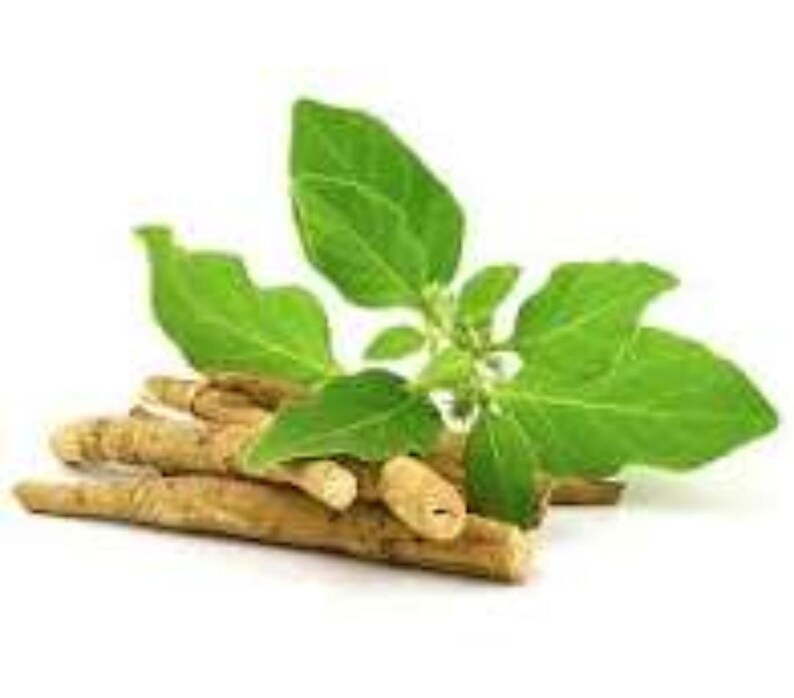 May include: A close-up of ashwagandha roots and leaves. The image shows several beige-colored roots with a cluster of bright green leaves and small white flowers. The background is plain white, highlighting the natural elements.