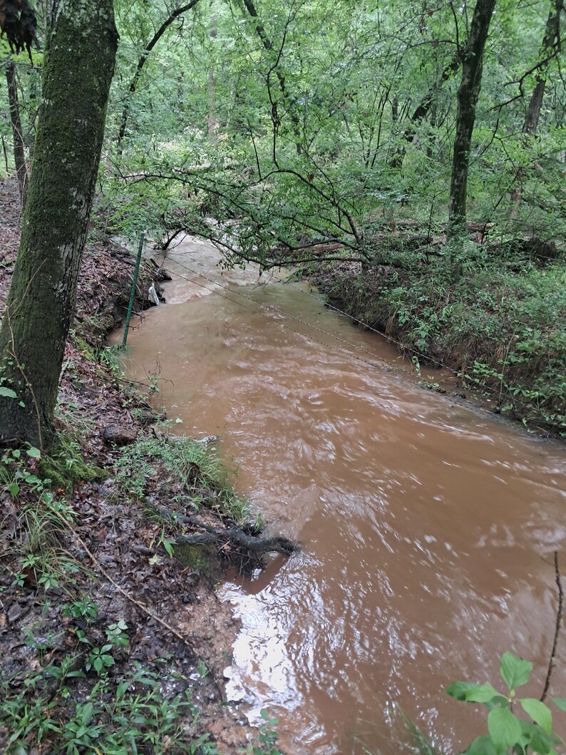 May include: A flowing stream of muddy brown water winds through a lush green forest. The water's surface reflects the surrounding trees and foliage. The scene is framed by trees and vegetation, creating a natural, serene environment.