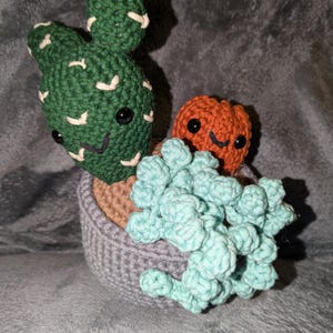 Succulent Pot