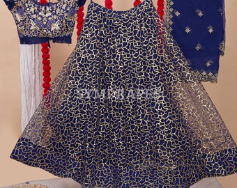 Navy Blue Net Lehenga Choli: Sequins Zari Embroidered Bridal Dress