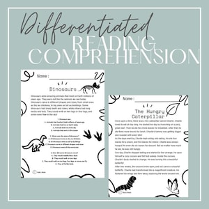 Grade 1 Reading Comprehension Passages & Questions | Fluency Practice | Differentiated Literacy Worksheets PDF
