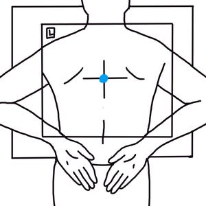 May include: Diagram of a person's back with a rectangular frame. A blue dot indicates a central point. The person's arms are to the sides, hands near the lower back. The image is a medical or anatomical illustration, possibly for medical imaging.