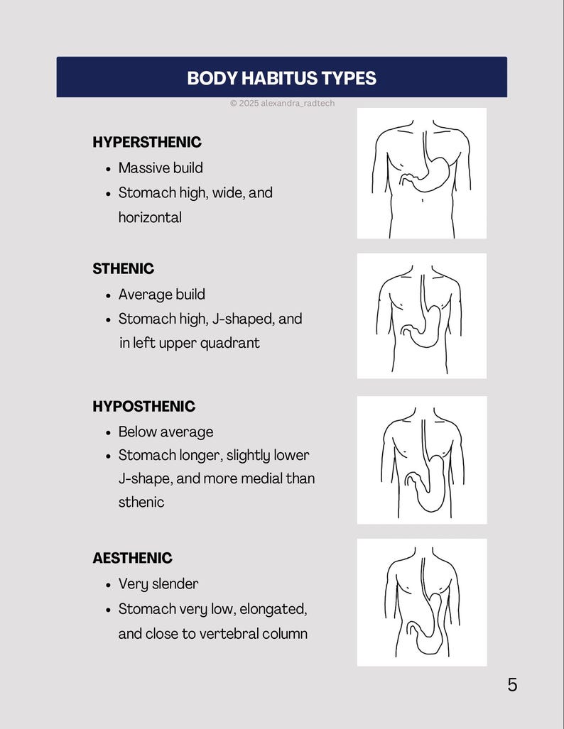 May include: A medical diagram showing four body habitus types: hypersthenic, sthenic, hyposthenic, and asthenic. Each type has a description and a line drawing of the human torso, showing stomach shape and position. The title "BODY HABITUS TYPES" is at the top of the image.