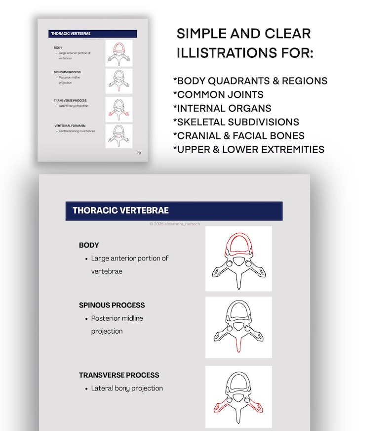 Radiographic ANATOMY Study Guide for Radiologic Technology Students ...