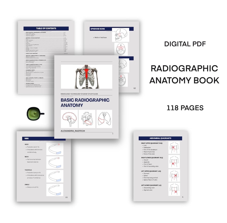 Study Guide BUNDLE *radiographic Positioning + Radiographic Anatomy ...