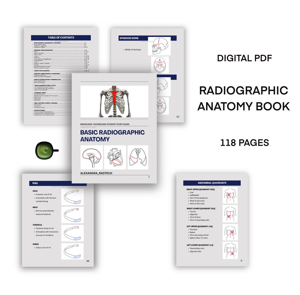 Radiographic ANATOMY Study Guide for Radiologic Technology Students ...