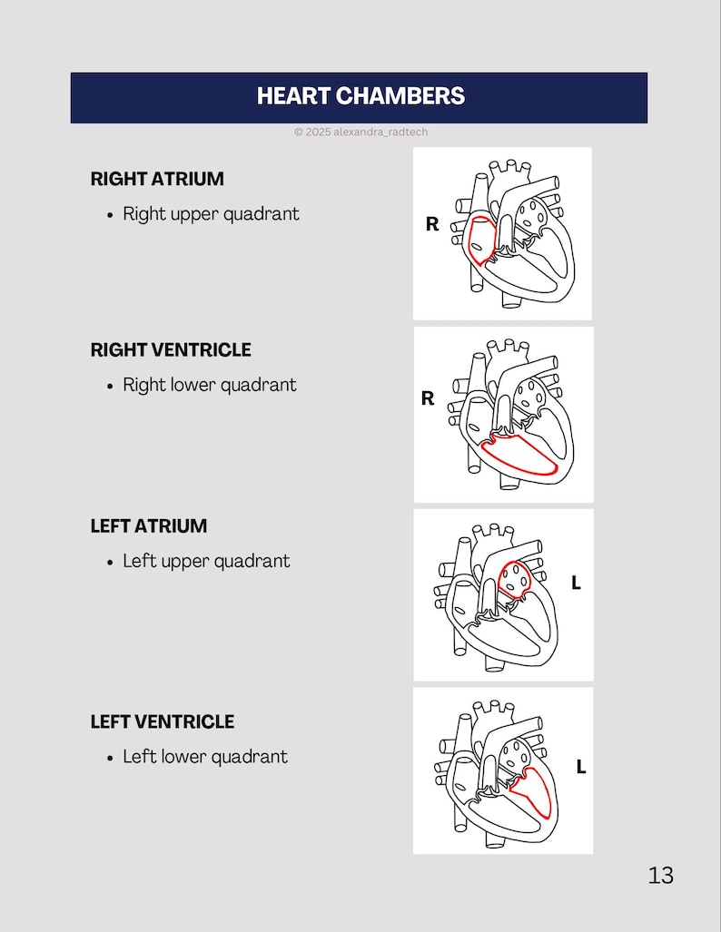 Radiographic ANATOMY Study Guide for Radiologic Technology Students ...