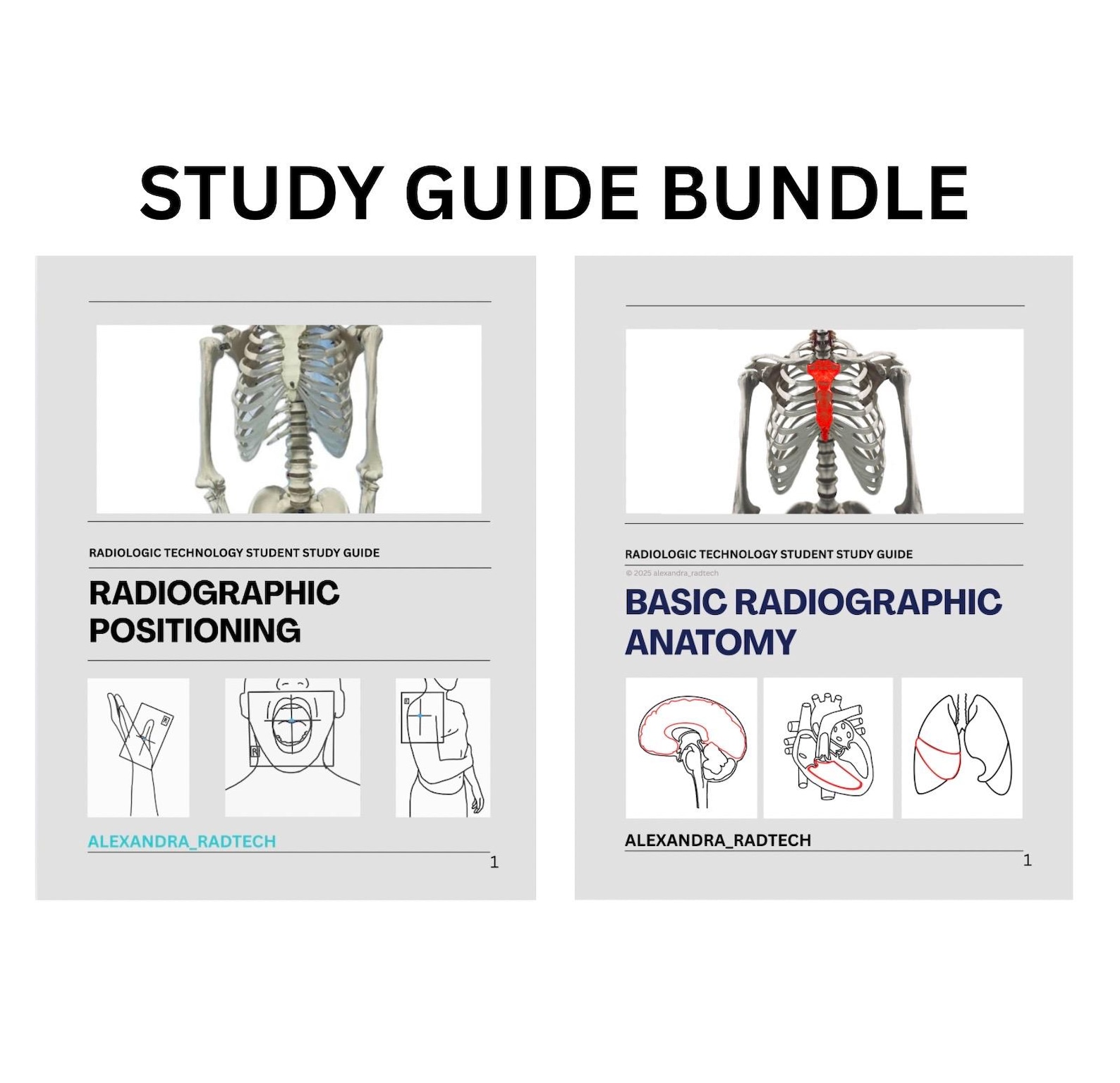 Study Guide BUNDLE *radiographic Positioning + Radiographic Anatomy ...