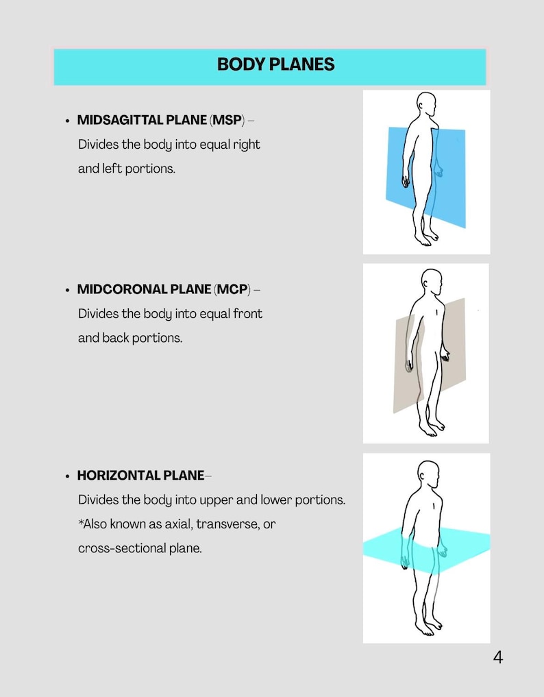 Midcornal X-ray Positioning Study Guide for Radiologic Technology Students ...
