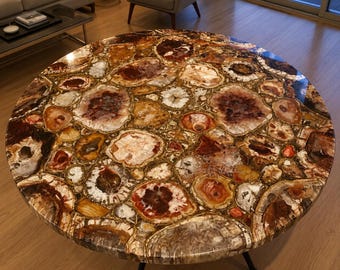 Petrified Wood Coffee Table, Luxury Natural Fossil Stone Center Table for Living Room Decor