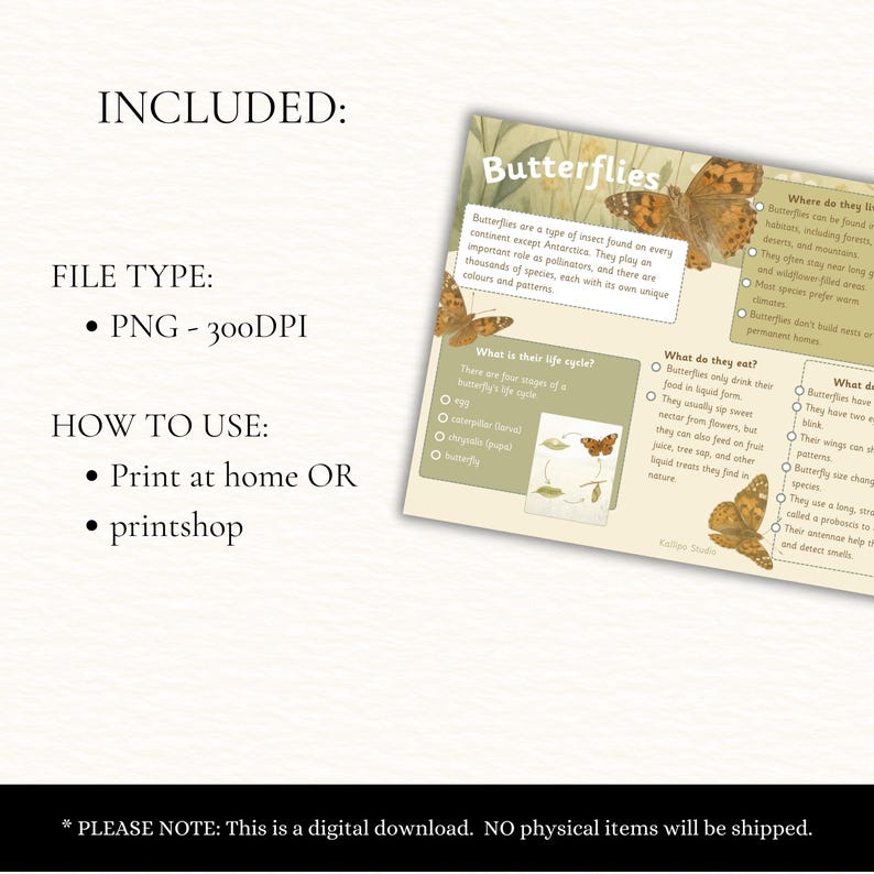 Butterfly Fact Poster Educational Poster Butterfly Fact File Exploring ...