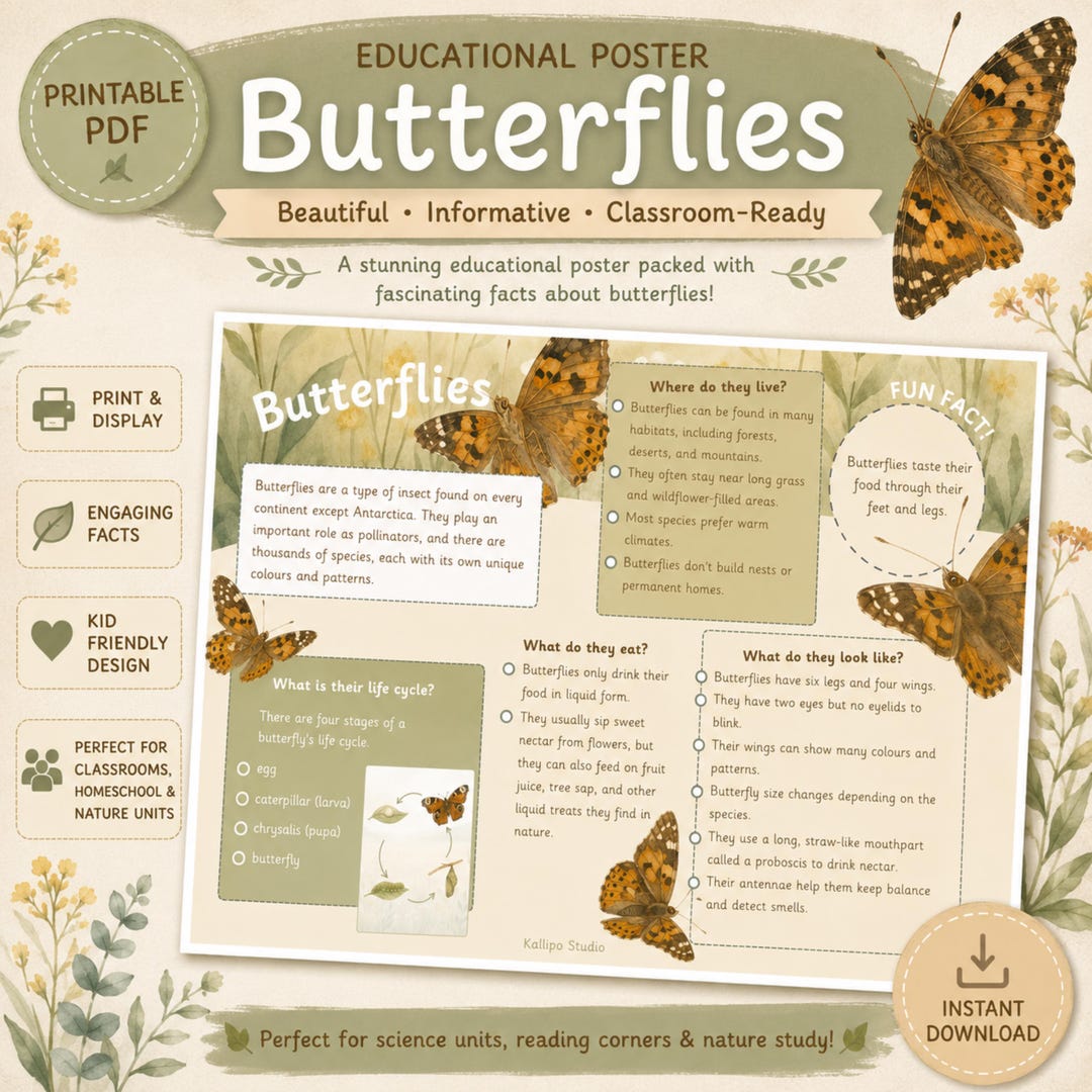 Butterfly Fact Poster Educational Poster Butterfly Fact File Exploring ...
