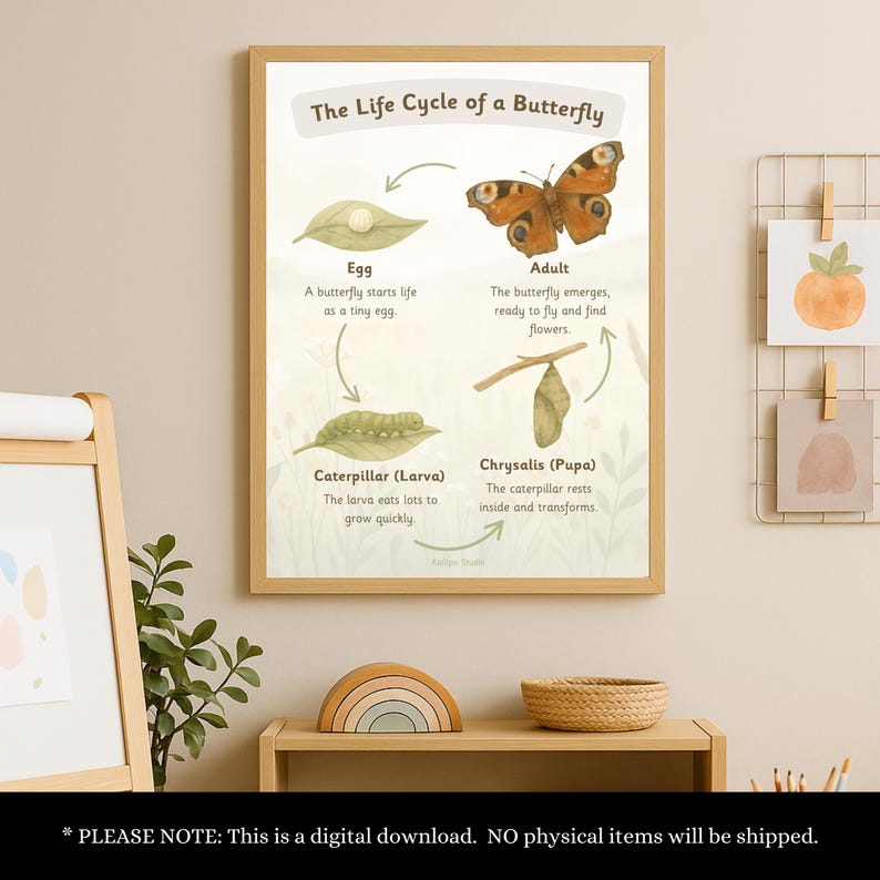 Butterfly Identification Poster UK Butterfly Identification Chart ...