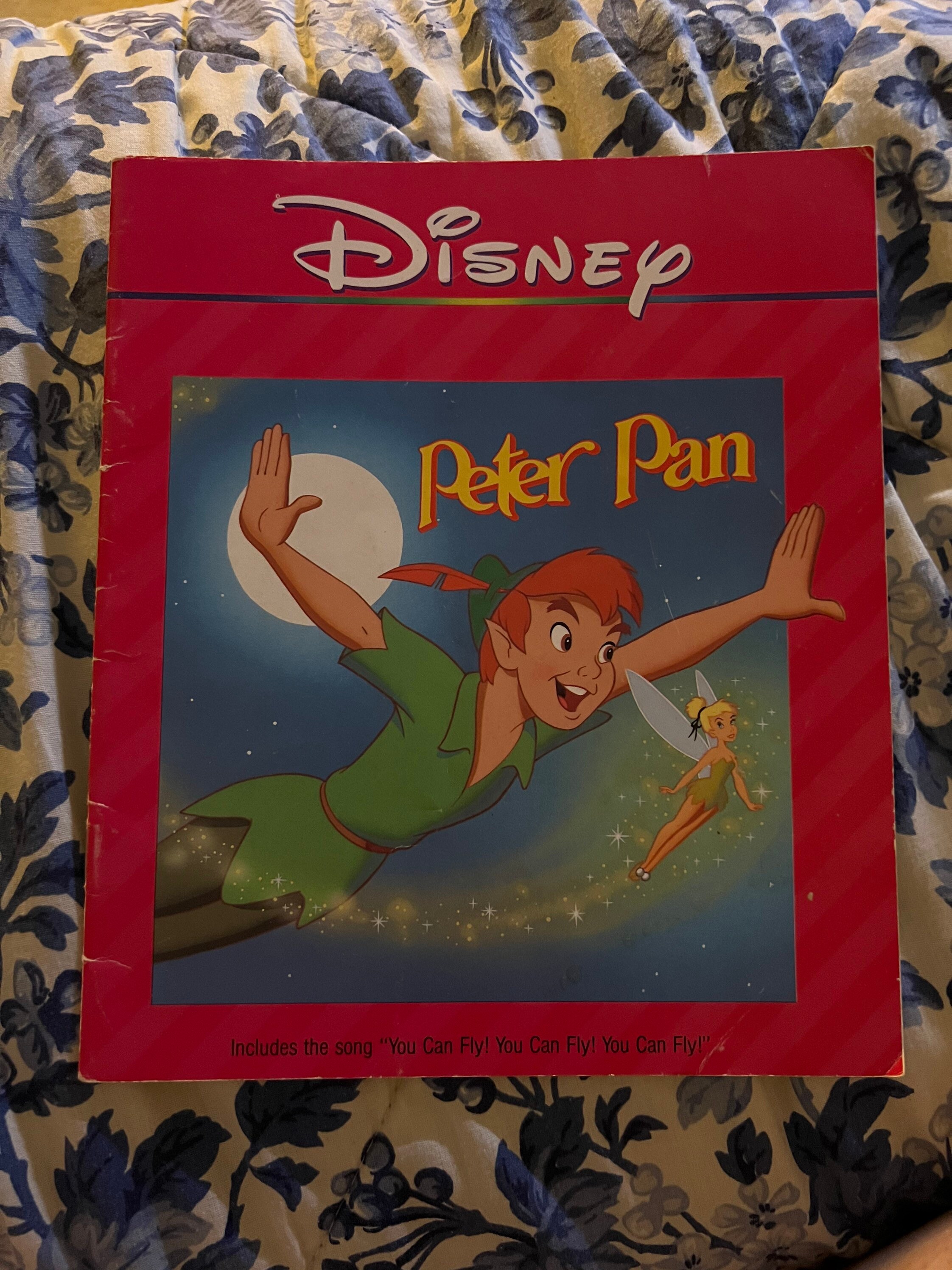 Disneys Peter Pan Read Along Book no Cassette Etsy Australia