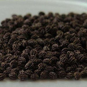 Dried Papaya Seeds - Organic Papaya Seeds - Dried Papaya Seeds In Bulk