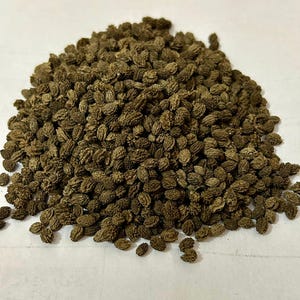 Dried Papaya Seeds Powder- Organic Papaya Seeds Powder - Dried Papaya Seeds Powder In Bulk