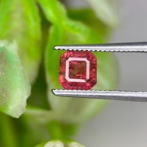 Peut inclure: Une pierre précieuse rectangulaire rose, tenue par une pince. La gemme présente un carré rose clair à l'intérieur. Le fond est un feuillage vert flou. Il s'agit probablement d'une pierre taillée.