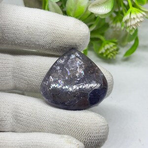 May include: A dark, iridescent, heart-shaped gemstone. The stone has a textured surface with hints of blue and purple, and is held by a gloved hand. The background features green foliage.