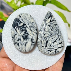 May include: Two polished gemstones with a striking black and white pattern. One is oval, the other a teardrop shape. The stones have a glossy finish and are set against a white background, showcasing their unique, natural veining.