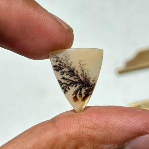 Natural Tree Agate Dendritic Cabochon 15x17 mm | Scenic Tree Pattern Gemstone | Triangle Shape Loose Stone | Jewelry Making | One of a Kind