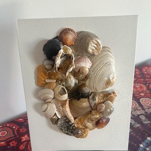 May include: A rectangular canvas art piece featuring a collage of various seashells. The shells are in shades of white, tan, brown, and black, with a few orange and pink accents. The shells are arranged in a clustered design.