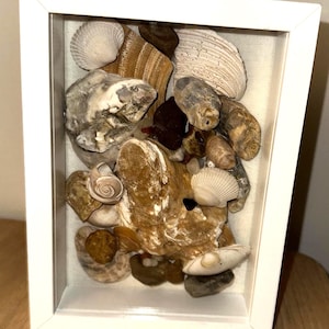 May include: A white framed shadowbox displaying a collection of seashells and pebbles. The shells are in various shapes and colours, including beige, brown, and white. The background is a light fabric, creating a textured contrast.