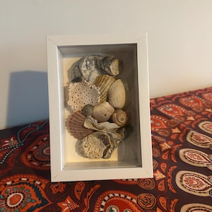 May include: A white framed shadow box containing a collection of seashells. The shells are of various sizes, shapes, and colours, including beige, brown, and white. The arrangement is set against a light yellow background.