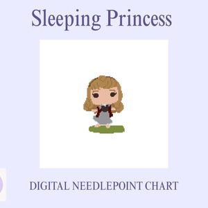Slapende prinses - digitale download - 18 mesh - borduurpatroon - doe-het-zelf canvasdoek