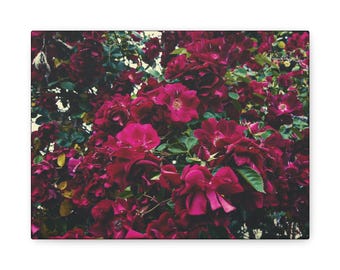 Floral Matte Canvas Wall Art - Pink Flower Burst for Home Decor