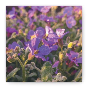 Purple Floral Matte Canvas Wall Art