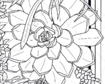 Cadre succulent, art mural, coloriage numérique