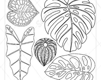 Art mural avec collage de feuilles à colorier en noir et blanc