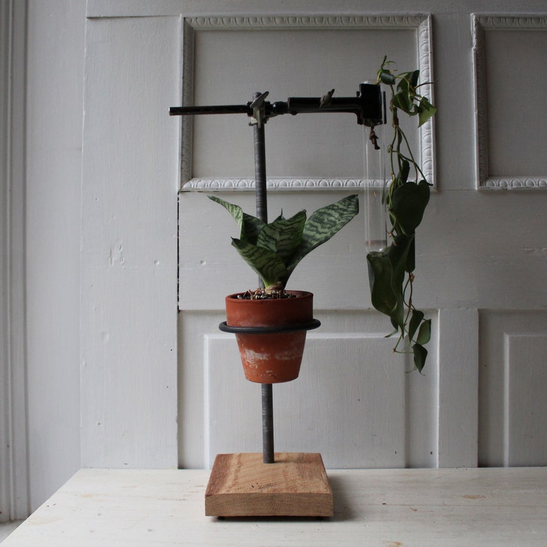 ONE Lab Stand Plant & Test Tube Holder Propagation Vase Etsy