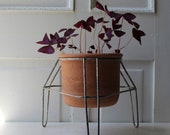 Vintage Metal Plant Stand - Mid Century - Wire Hairpin Leg - Pot Holder