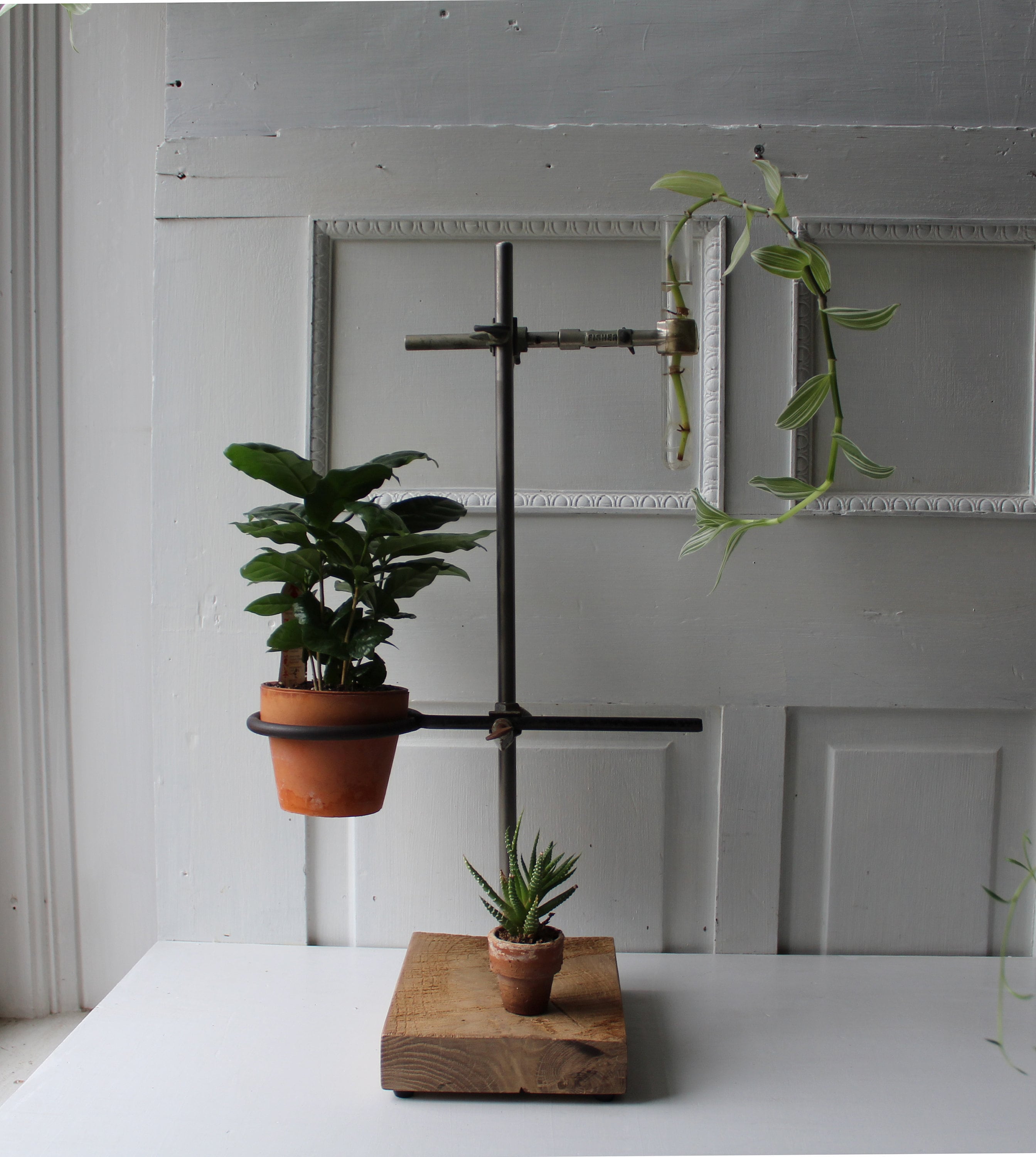 ONE Lab Stand Plant & Test Tube Holder Propagation Vase Etsy Canada