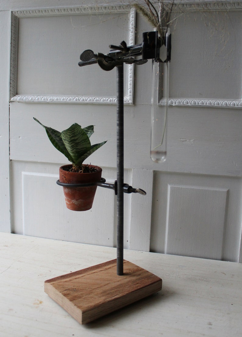 ONE Lab Stand Plant & Test Tube Holder Propagation Vase Etsy
