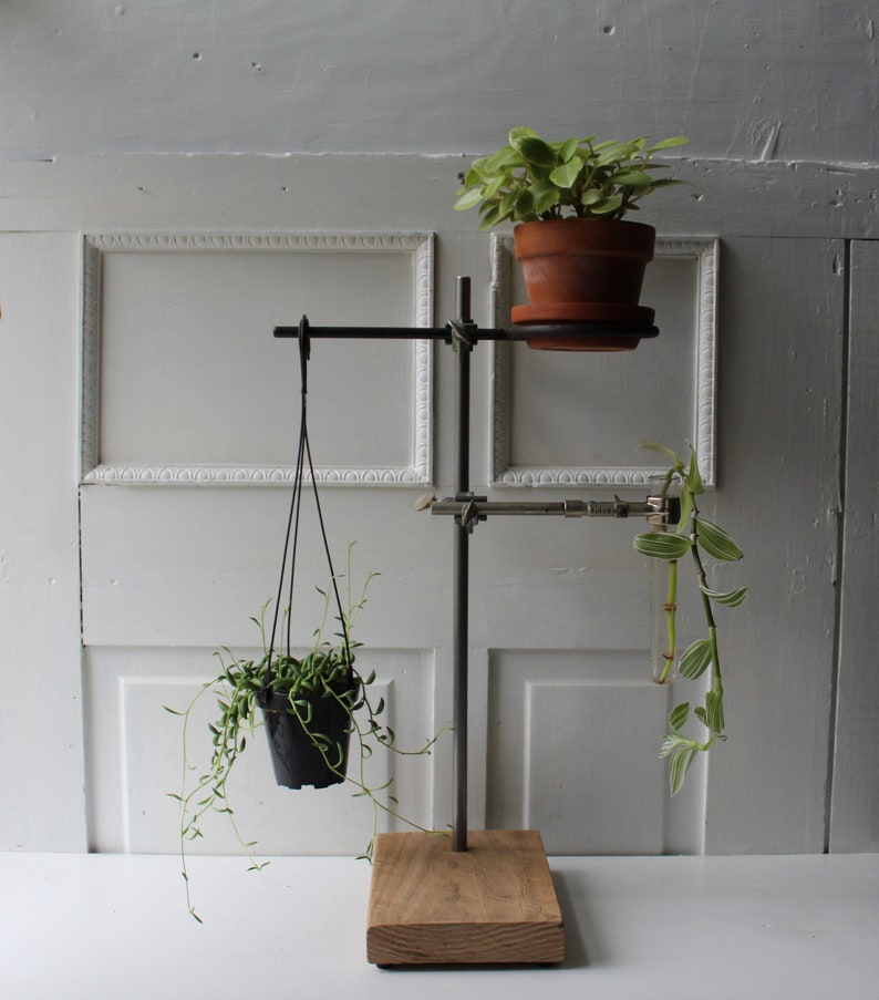 ONE Lab Stand Plant & Test Tube Holder Propagation Vase Etsy